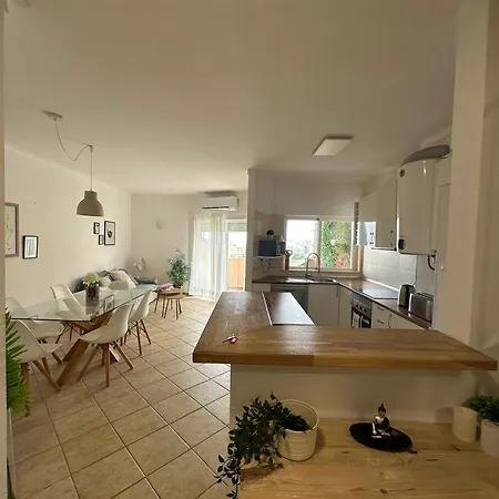 Casa Milesia- T3 דירה אלבור